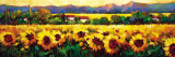 Sweeping Fields of Sunflowers
