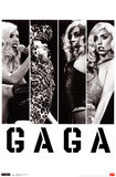 Lady Gaga - Photo Bars