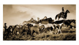 Buy Gathering the Herd at AllPosters.com