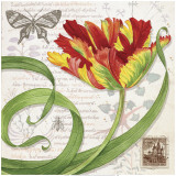 Tulip I