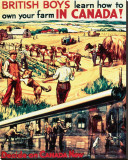 Buy British Boys, Learn How to Own Your Farm in Canada! at AllPosters.com