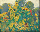 Buy Sunflowers, Thornhill at AllPosters.com