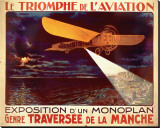 Buy Le Triomphe de l'Aviation at AllPosters.com