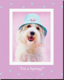Buy I'm a Spring at AllPosters.com