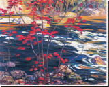 The Red Maple