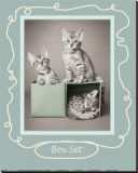 Buy Box Set at AllPosters.com