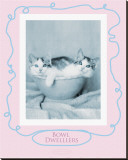 Buy Bowl Dwellers at AllPosters.com