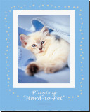 Buy Hard-To-Pet at AllPosters.com