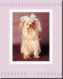 Buy Mom's Favourite at AllPosters.com