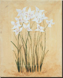 Buy Flower IV at AllPosters.com
