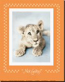 Buy Not Guilty at AllPosters.com