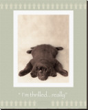 Buy I'm Thrilled at AllPosters.com
