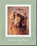 Buy Picture Day Blues at AllPosters.com