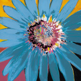 Buy Sunshine Flower II at AllPosters.com