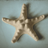 Buy Seashell Study III at AllPosters.com