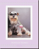 Buy Hopeless Romeo at AllPosters.com