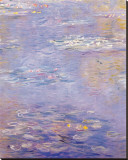 Buy Waterlilies at AllPosters.com