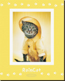 Buy Rain Cat at AllPosters.com