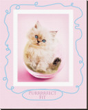 Buy Purrfect Fit at AllPosters.com