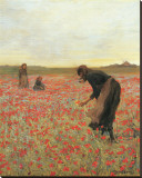 Buy Girls in Poppy Field at AllPosters.com