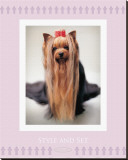 Buy Style and Set at AllPosters.com