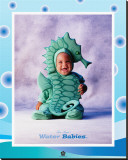 Baby Seahorse