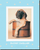 Buy Bucket Dweller at AllPosters.com