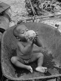 Buy 2 Year Old Drinking Coconut at AllPosters.com