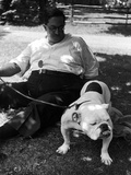 1938 Morris + Essex Dog Show. English Bulldog