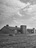 Long View of the Farm
