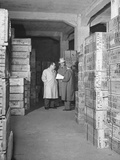 Director of Greek War Relief from Chicago and His Assistant Inspecting the Warehouse