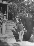 Man and Child Worshipping at Kamigamo Shrine
