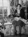 Lady Reading Sitting in Window Seat Knitting and Accompanied by Her Dog Tiger