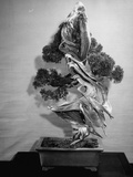 300-Year-Old Bonsai Pine Tree in Collection of Keibun Tanaka