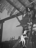 Fireman Jack with Weydt Leading His Dog Sussex Higher and Higher Up Ladder