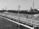 Boxes of Chinese Ammunition Sitting on Dock Premium Photographic Print