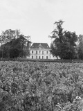 The Front View of the Chateau Palmer Vineyard