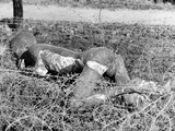 Ghastly the Charred Body of a Polish Erla Work Camp #3 Prisoner