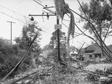 Flotsam from the Flood Hanging on New Haven Railroad Lines