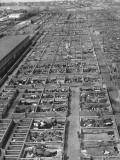 Aerial View of Pens Containing Beef Cattle at the Union Stockyards