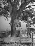 Polish Soldier Standing Sentry