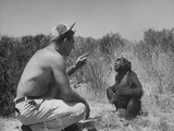 Behind the Scenes of Hollywood Movie Production