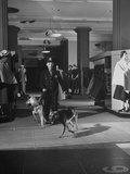 Watchman Taking His Dogs to Another Floor after Checking Out the Clothing Department Premium Photographic Print
