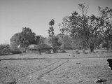 Grass Huts of Indian Aborigines Families of the Untouchables Caste in Village