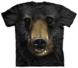 Buy Black Bear Face at AllPosters.com