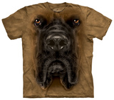 Mastiff Face
