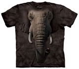 Elephant Face