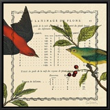 Summer Pages I