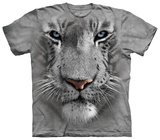 Buy White Tiger Face at AllPosters.com