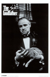 Godfather - Cat BW